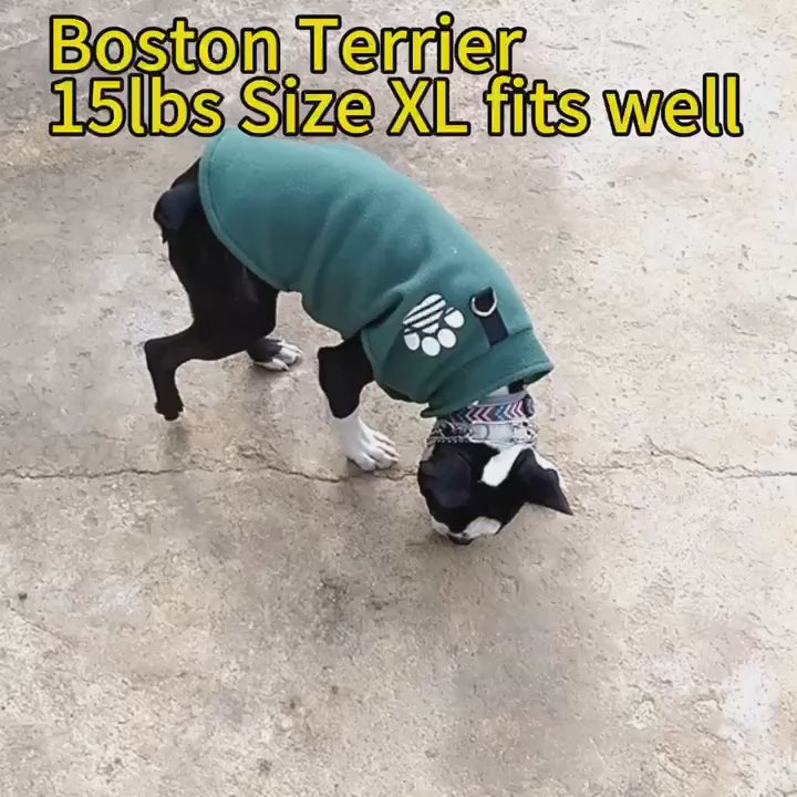 Autumn Winter Pet Dogs Clothes Fleece Warm Dogs Sweater Small Dog Coat Puppy Plush Vest